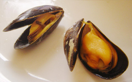 best seafood supplier in chennai